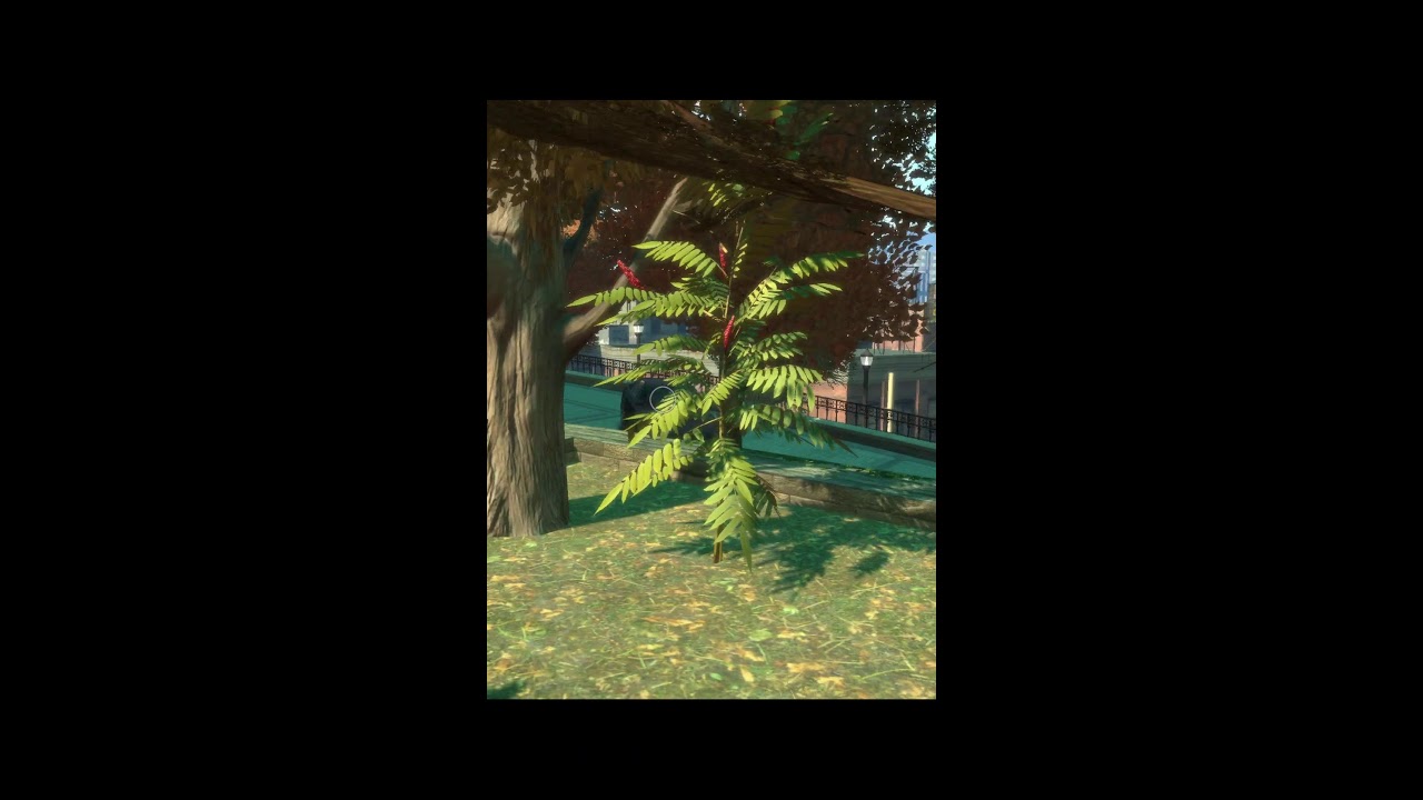 Gta IV Campaign