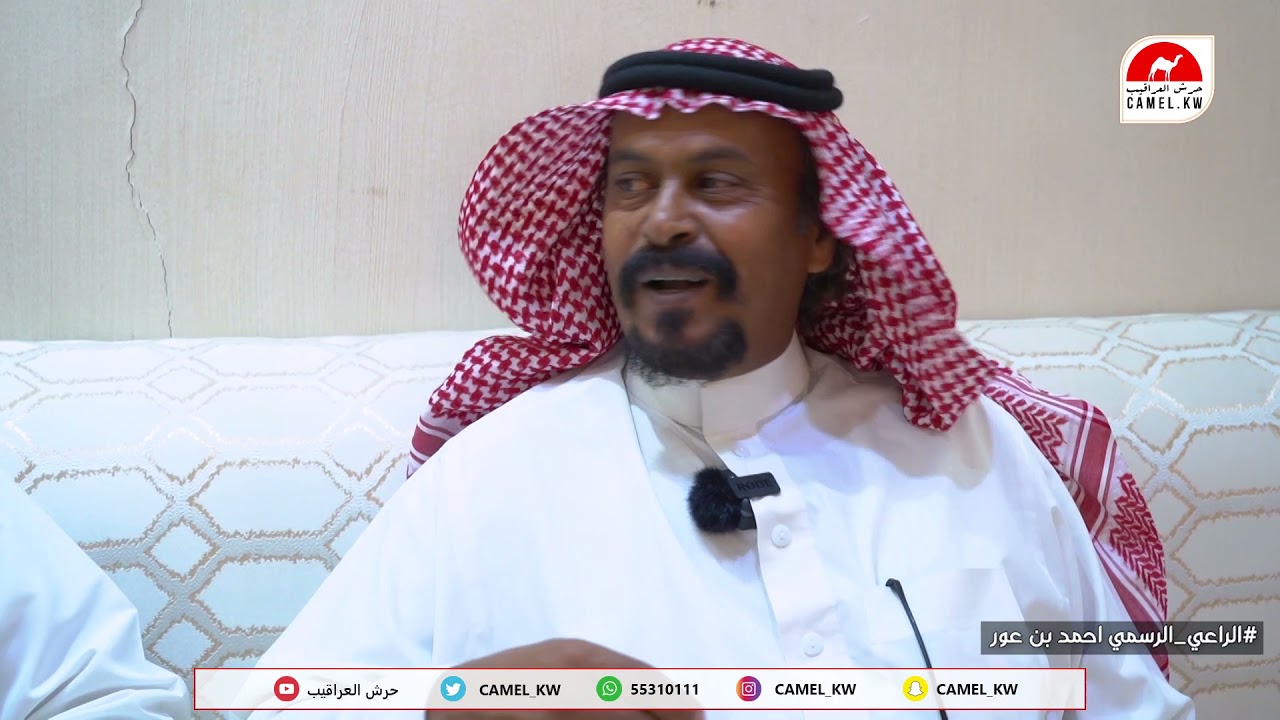 لقاءات مع المهتمين بالابل السواحل بعد اعلان الشيخ فهد بن حثلين عن شوط السواحل في محل فارس اللحياني