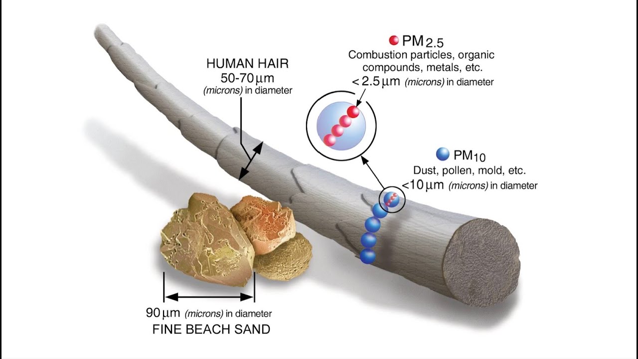 Spotlight on Particulate Matter
