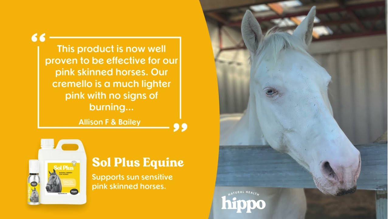 Sol Plus: Gentle, Effective Sun Management for Sun-Sensitive Horses 🐴