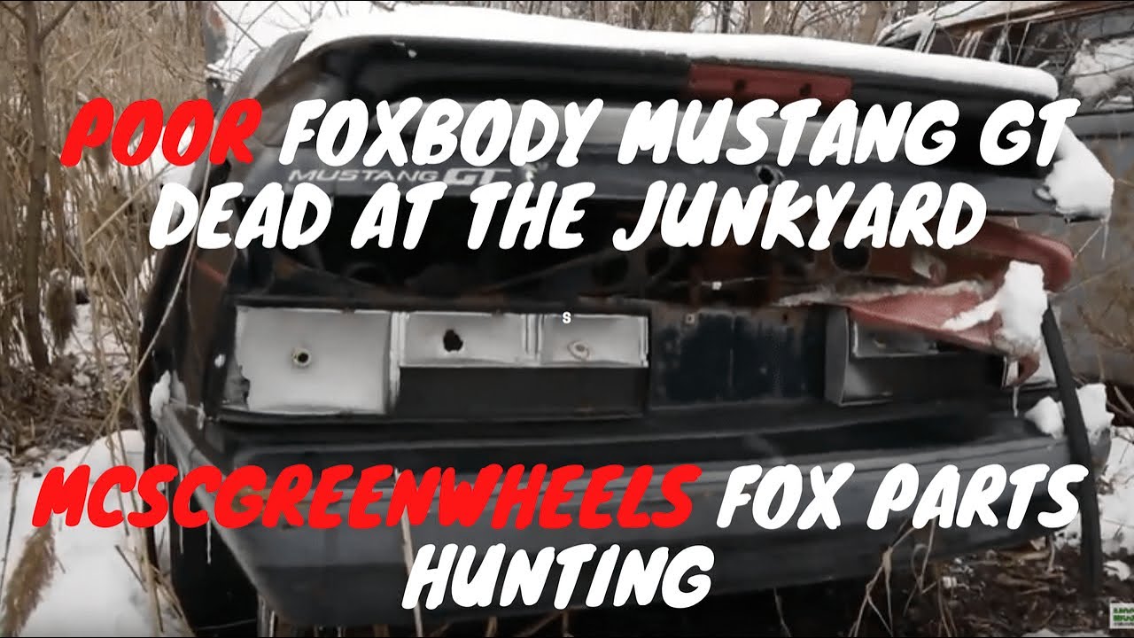 Mcscgreenwheels Junkyard visit in New Edge Saleen by Folleh Shar Tamba