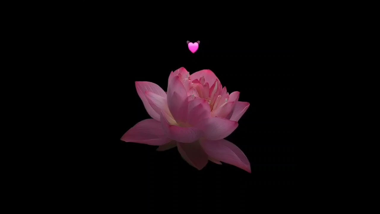 Lo que nunca va a pasar