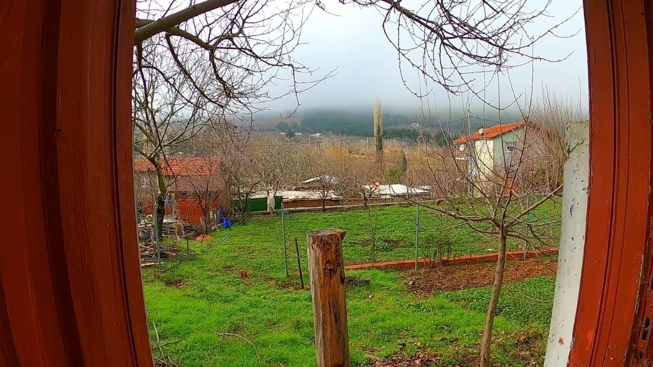 KÖYDE ŞAHANE MANZARALI  BİR EV...ORMAN YOLUNDAN ...BÖĞÜRTLEN ÇELİKLEME...