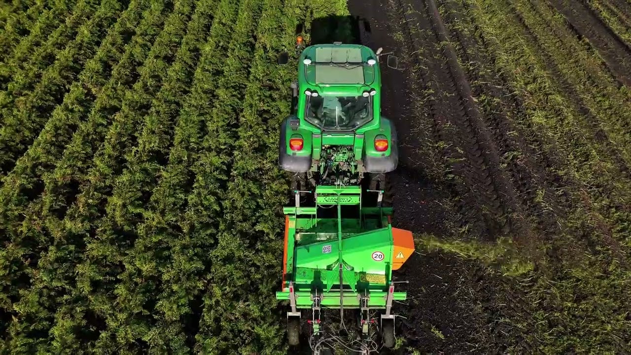 FRISMA Hurricane 1500 niszczarka naci, rozdrabniacz łęcin z piłami ogławiającymi, harvest carrots