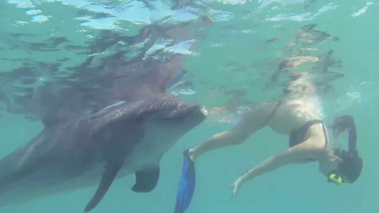 Pregnant Trainer Snorkeling with Dolphin