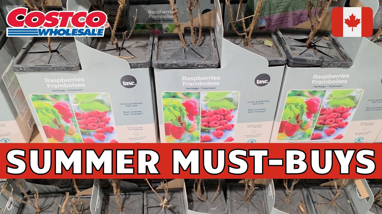 Мартовские скидки в Costco | Покупки в Costco Канада