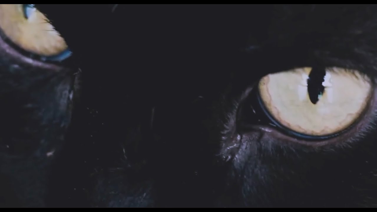 TENNAZ - Olhos de Gato ft Rookie Uno & Eric Rodrigues