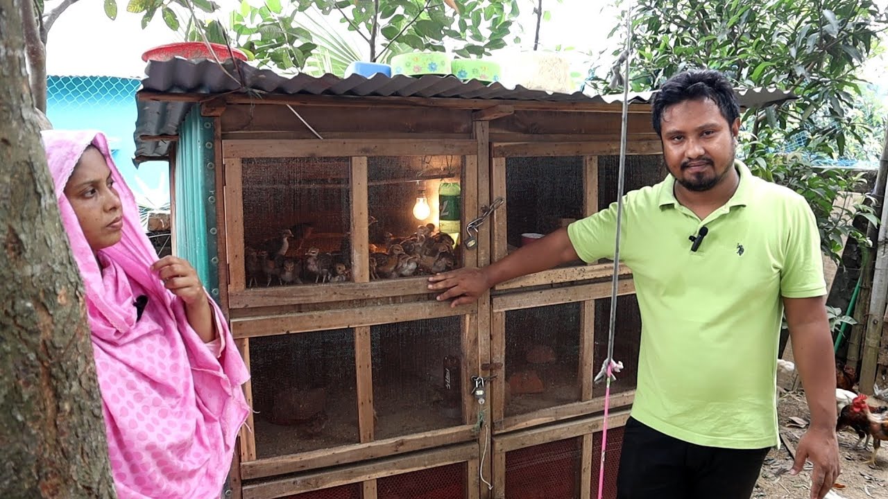 আমি খাচার ভিতর মুরগী সহ মুরগির বাচ্চা ১ মাস পালন করি || আমার একটা বাচ্চাও নষ্ট হয় না ||