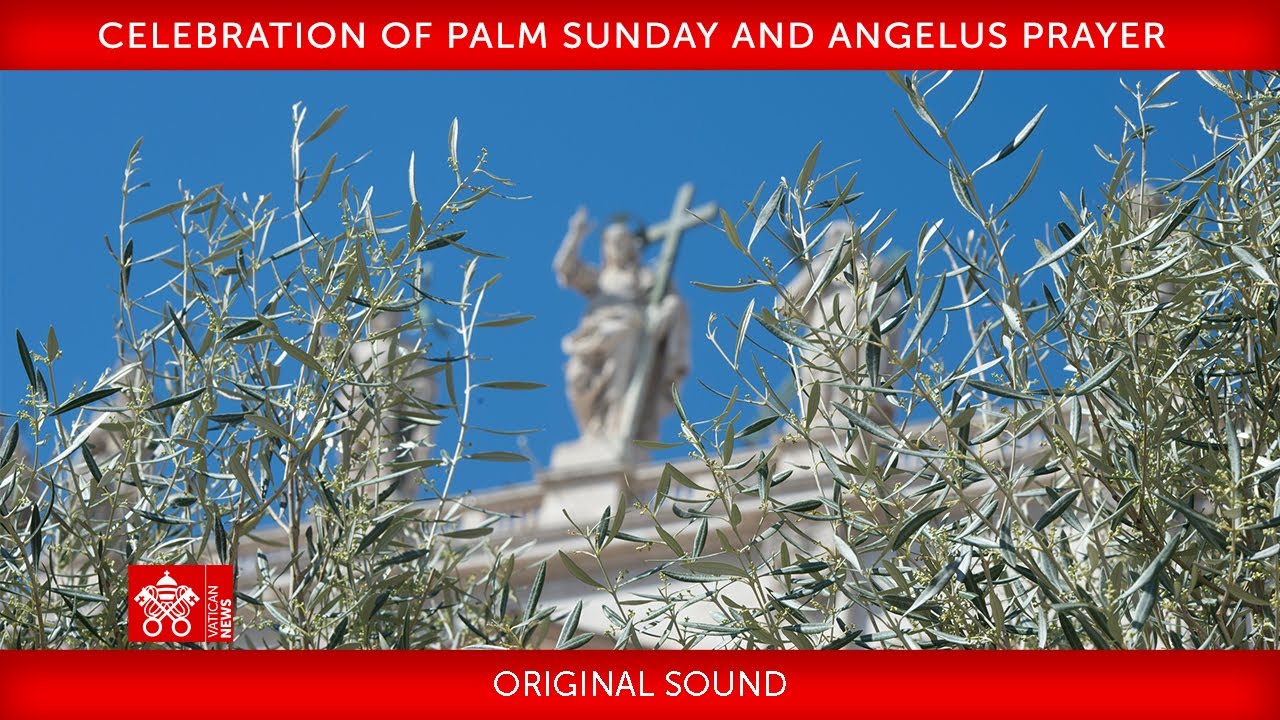 02 April 2023, Celebration of Palm Sunday, Angelus prayer | Pope Francis
