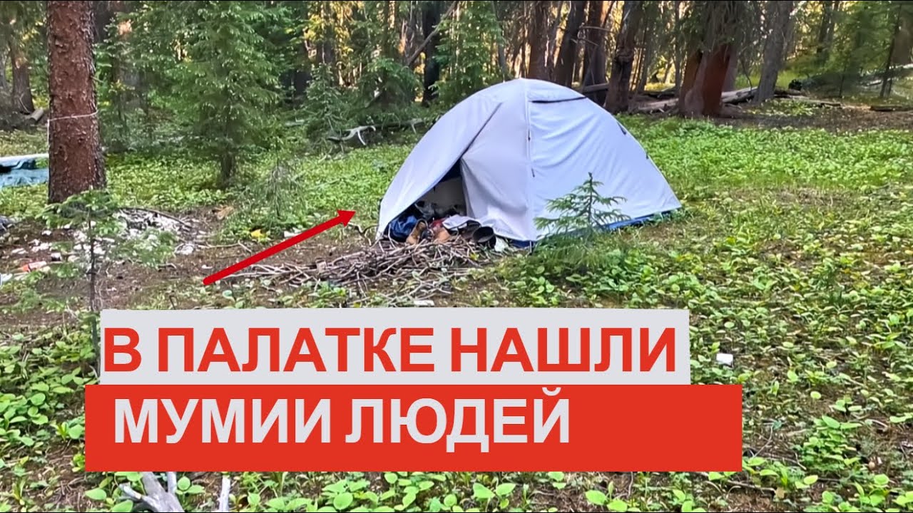 Захотели жить в дикой местности