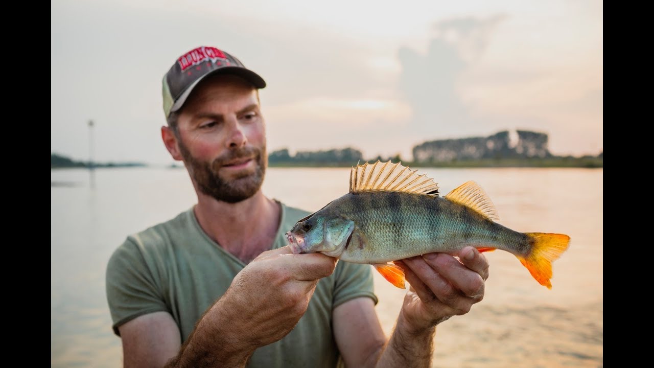VISblad TV - roofvissen met spinnerbaits