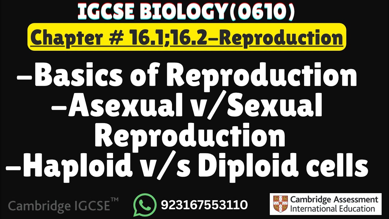 IGCSE Biology Ch#16 Reproduction 