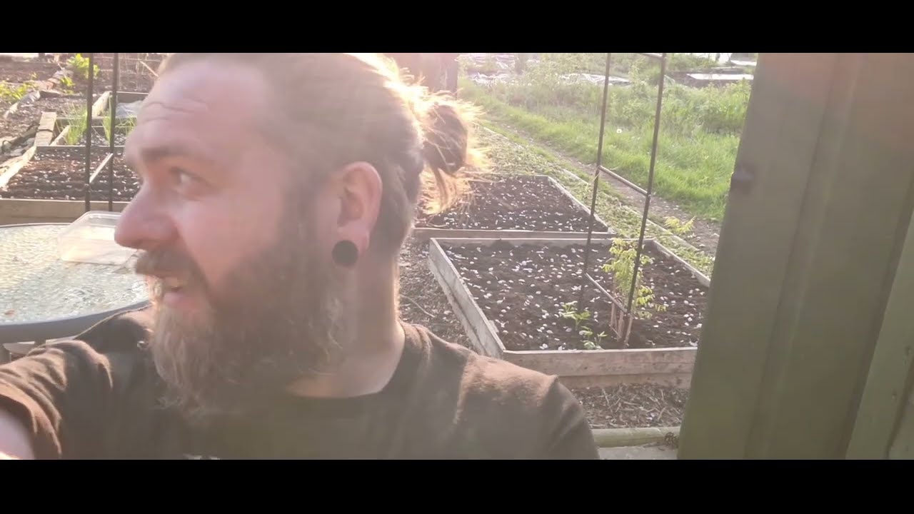 spring is here.... May 7th allotment tour #gardening #allotment #spring #evening #sunshine