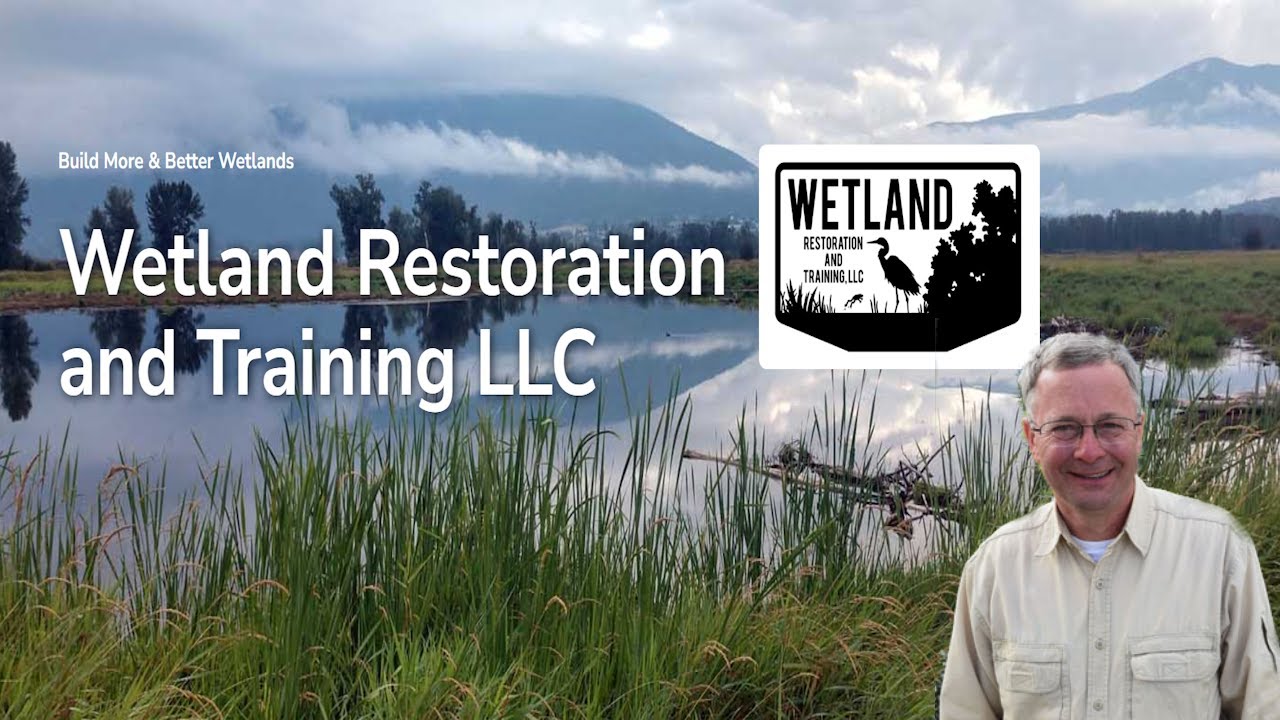 Why  Streams Were Moved to Drain Wetlands (Episode 9)