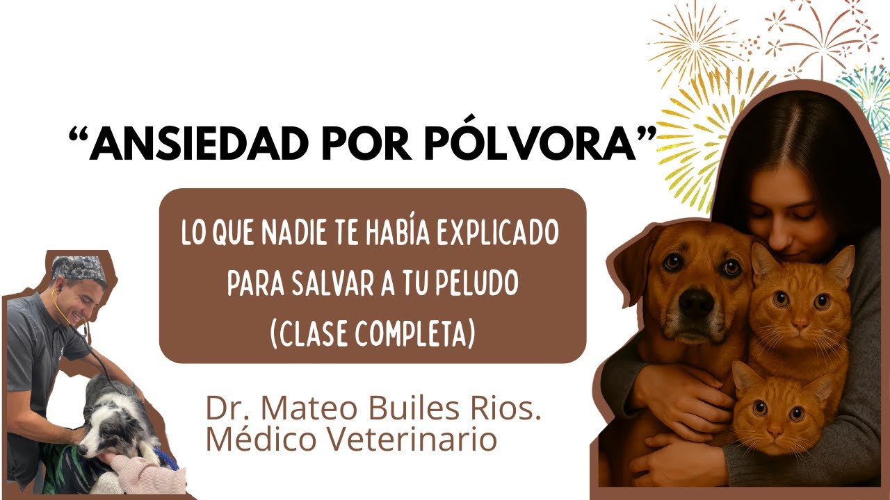 Tu Peludo NO Tiene que Sufrir Más: Estrategias Reales Contra la Pólvora y el Miedo.