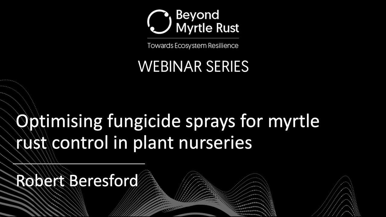 Beyond Myrtle Rust: Optimising fungicide sprays for myrtle rust control in plant nurseries
