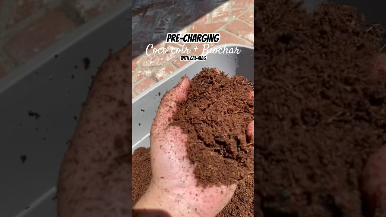 You need to do this before using raw COCO COIR + BIOCHAR 💯 #gardening #organic