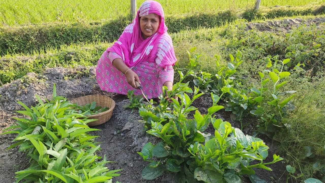 মাঠের তাজা পুঁইশাক দিয়ে পুকুরের দেশী ফলি মাছ রান্না Pui Shak Foli Mach Recipe Basella Alba FishCurry