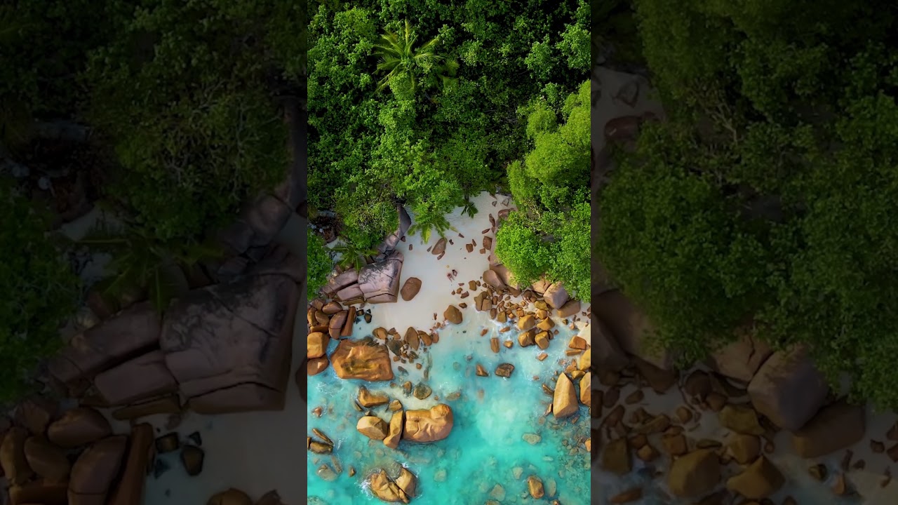 Caribbean Beach Ambiance | Overhead Tropical Island Escape 🌴🌊