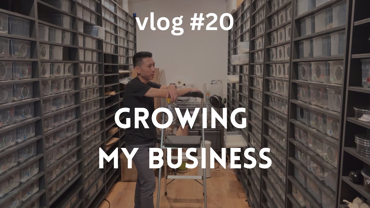 Growing My Business | Vlog #20 of Zero's Geckos