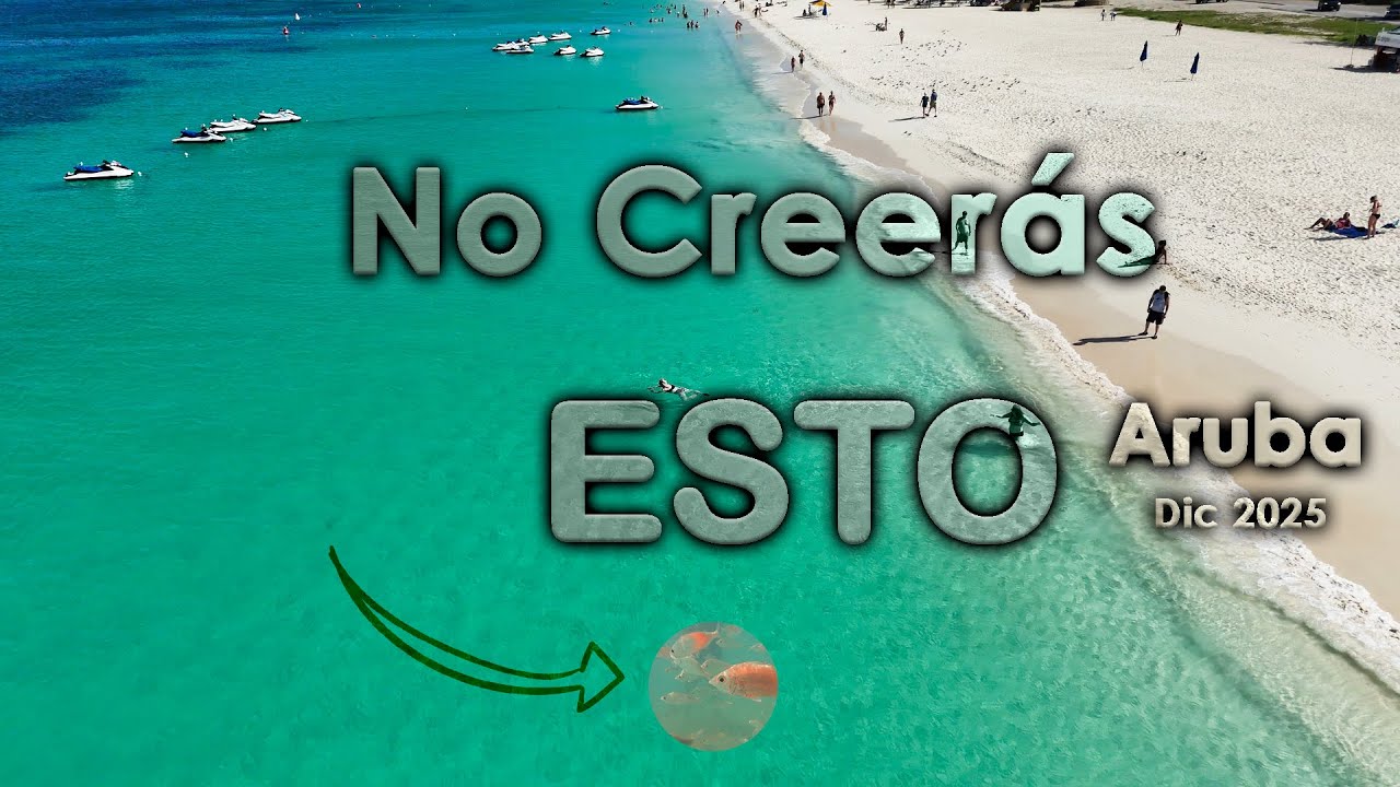 No vayas a ARUBA sin ver esto: Errores, Playas y Tips de Viaje | Guia de viaje