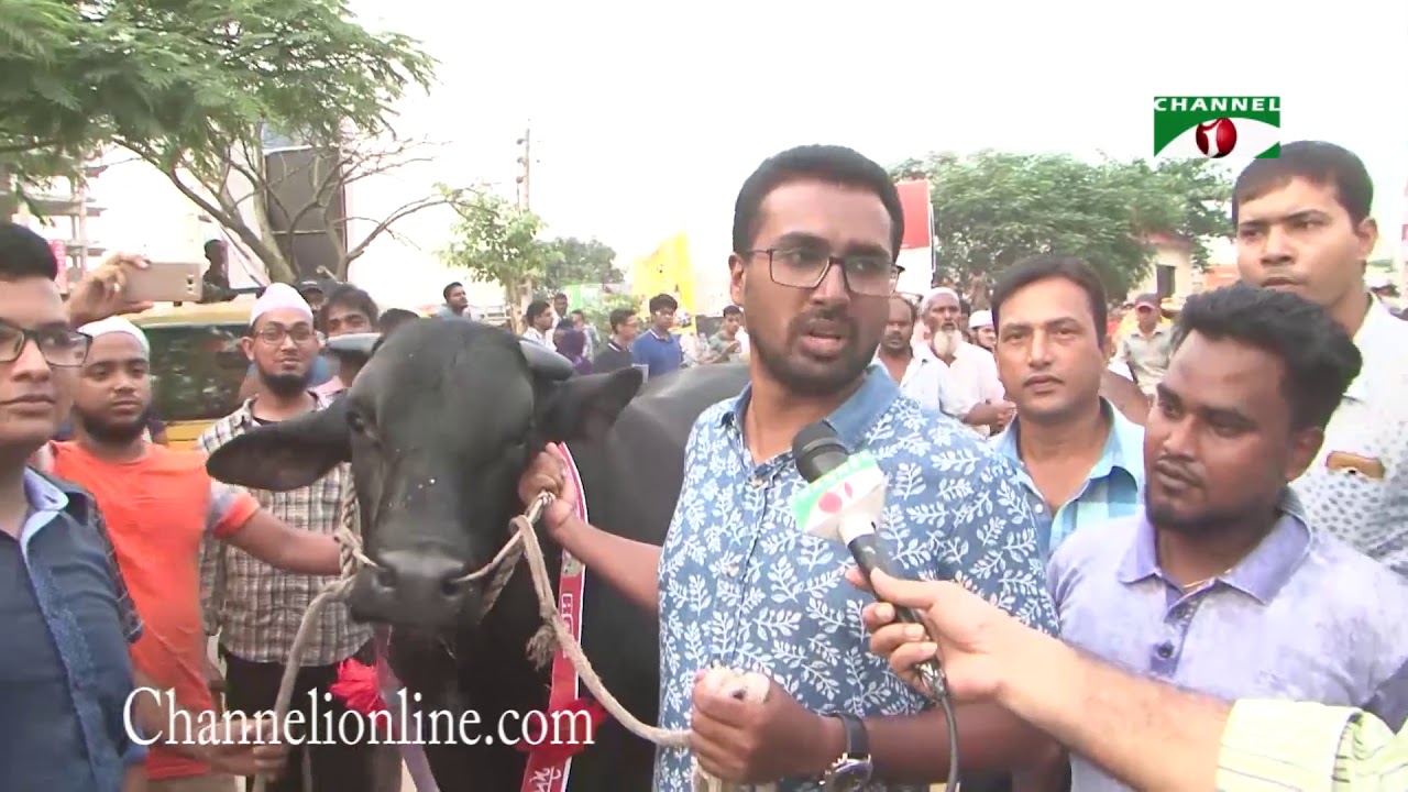 রাজধানীতে জমে উঠতে শুরু করেছে কোরবানীর পশুর হাট