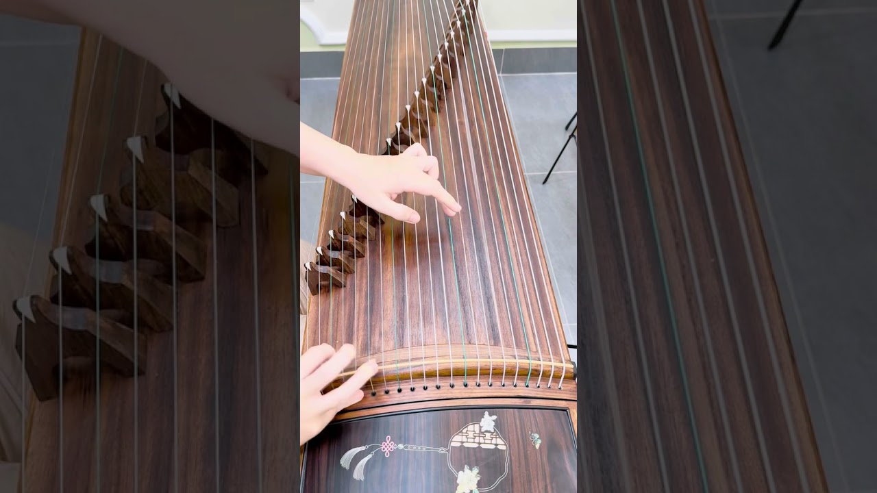 Bất nhiễm - Guzheng - bản có đập phách