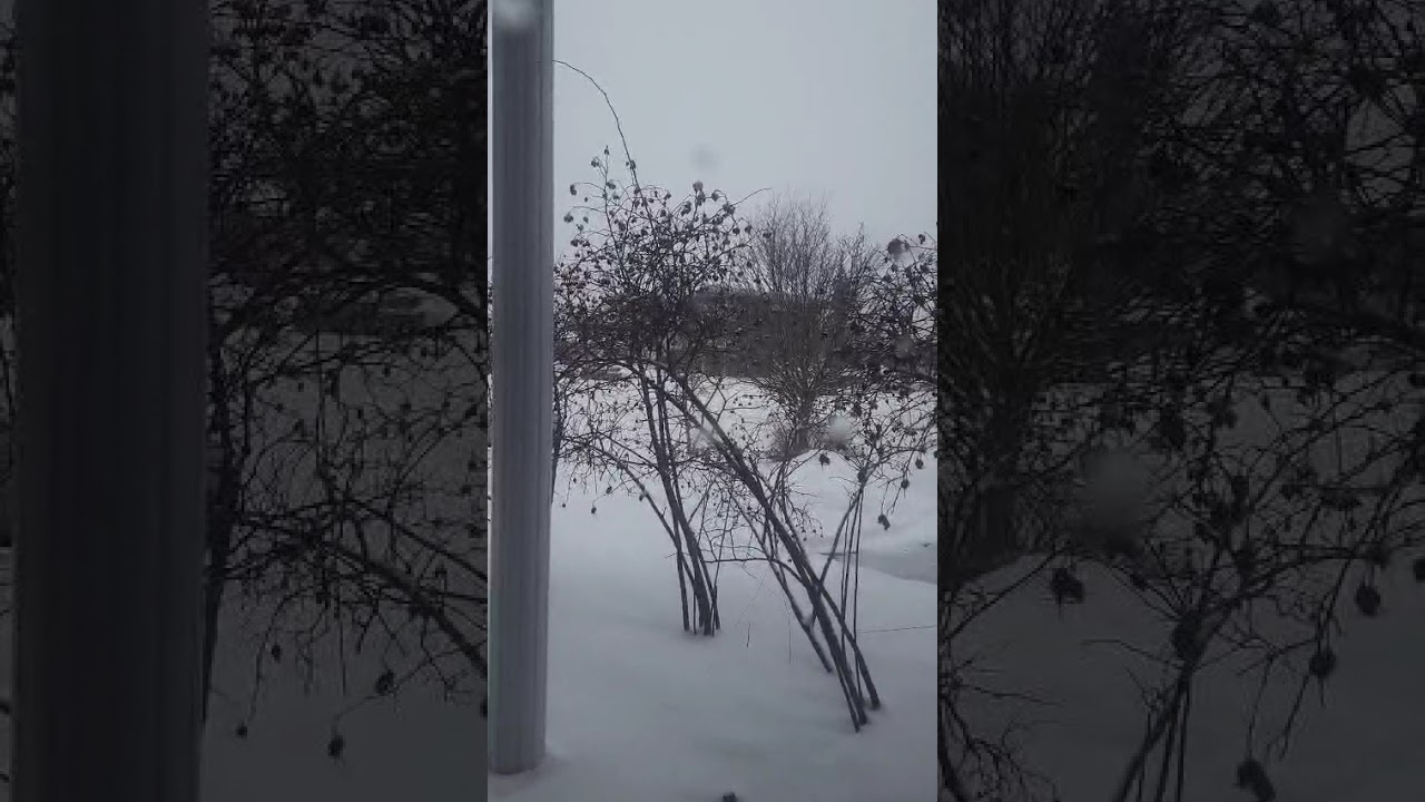 Como é no Canadá 🍁 