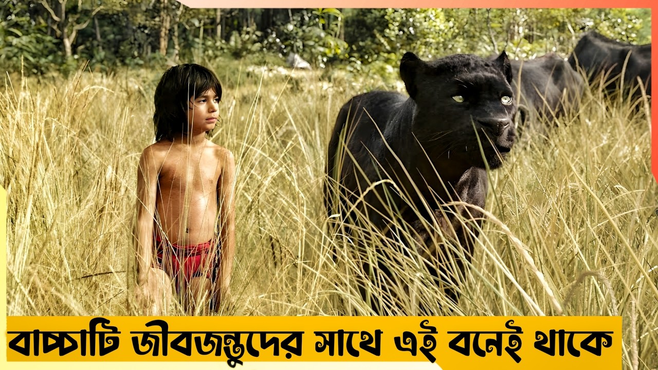 একটা বাচ্চা  হয়েওঠে নেকড়েদের দলের অংশ 😱 The Jungle Book Movie explained in Bangla