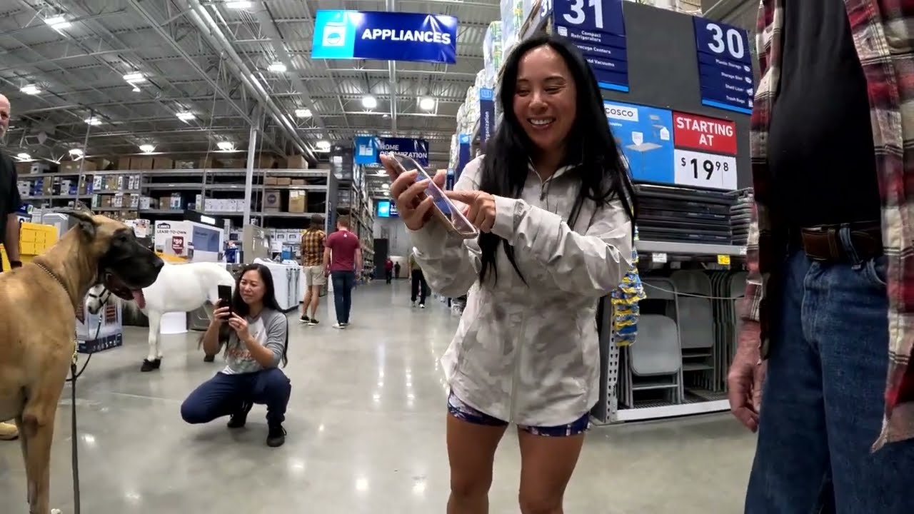 Cash 2.0 Great Dane and Rowdy at Lowes (4k)