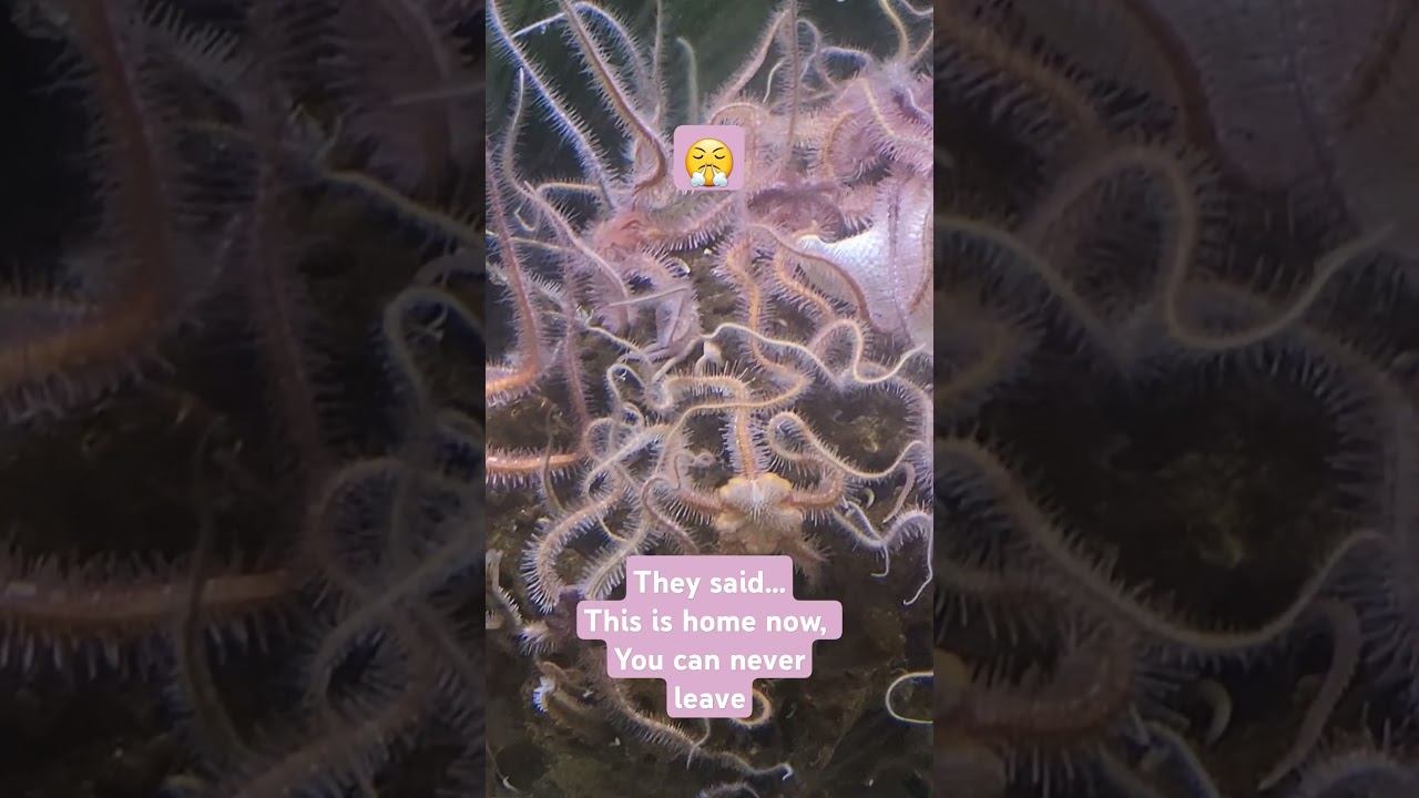 Tried a new hybrid strain and teleported to an aquatic colony #shorts #seamonsters