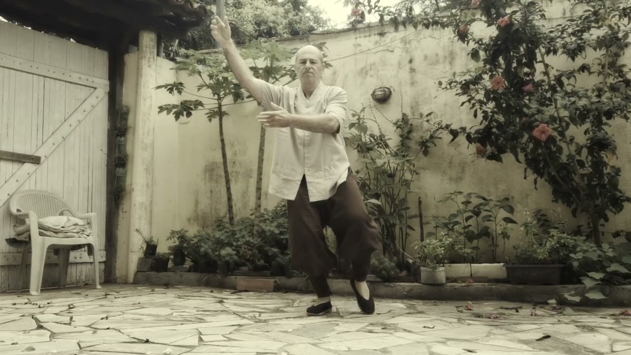 Tai chi chuan Yang 24 form