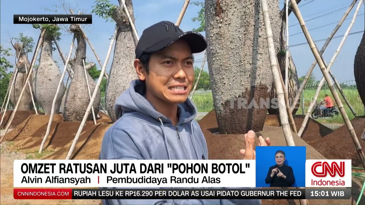 Omzet Ratusan Juta Dari Pohon Botol | REDAKSI (10/07/24)