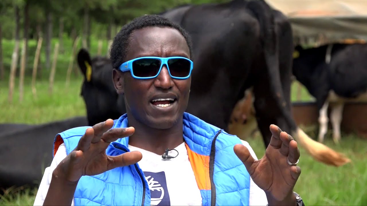 БУЗЕКИ: Путь кенийского миллиардера, самостоятельно добившегося успеха