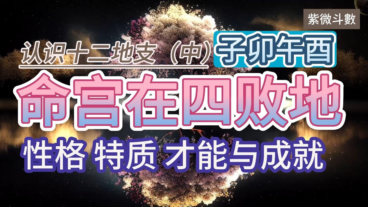 紫微斗数分享|认识十二地支（中）四败地|桃花地|命宫在子卯午酉的个性特质才能与成就|人生大方向参考|