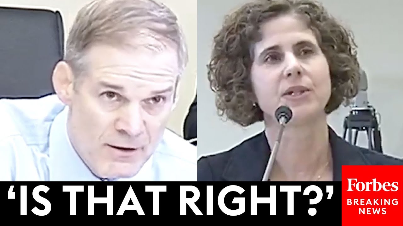 JUST IN: Jim Jordan Grills Witnesses On Potential FISA Abuses Of US Citizens' Civil Liberties