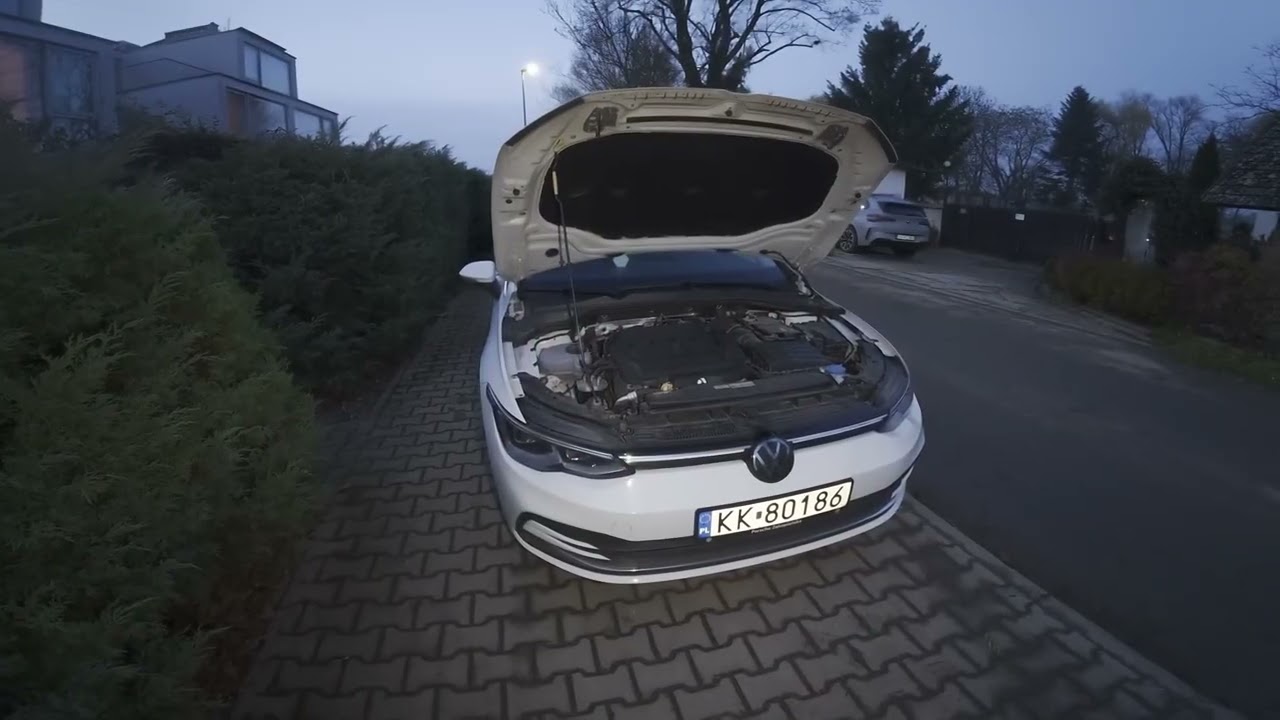 VOLKSWAGEN Golf VIII (2019 - oggi) – Dove si trova l'astina livello olio motore