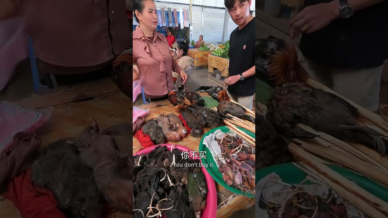 老挝野味菜市场堪比国内的野生动物园，一级保护动物也能抬上餐桌 #老挝菜市场#保护野生动物人人有责 #海外生活#老挝旅行#老挝美女