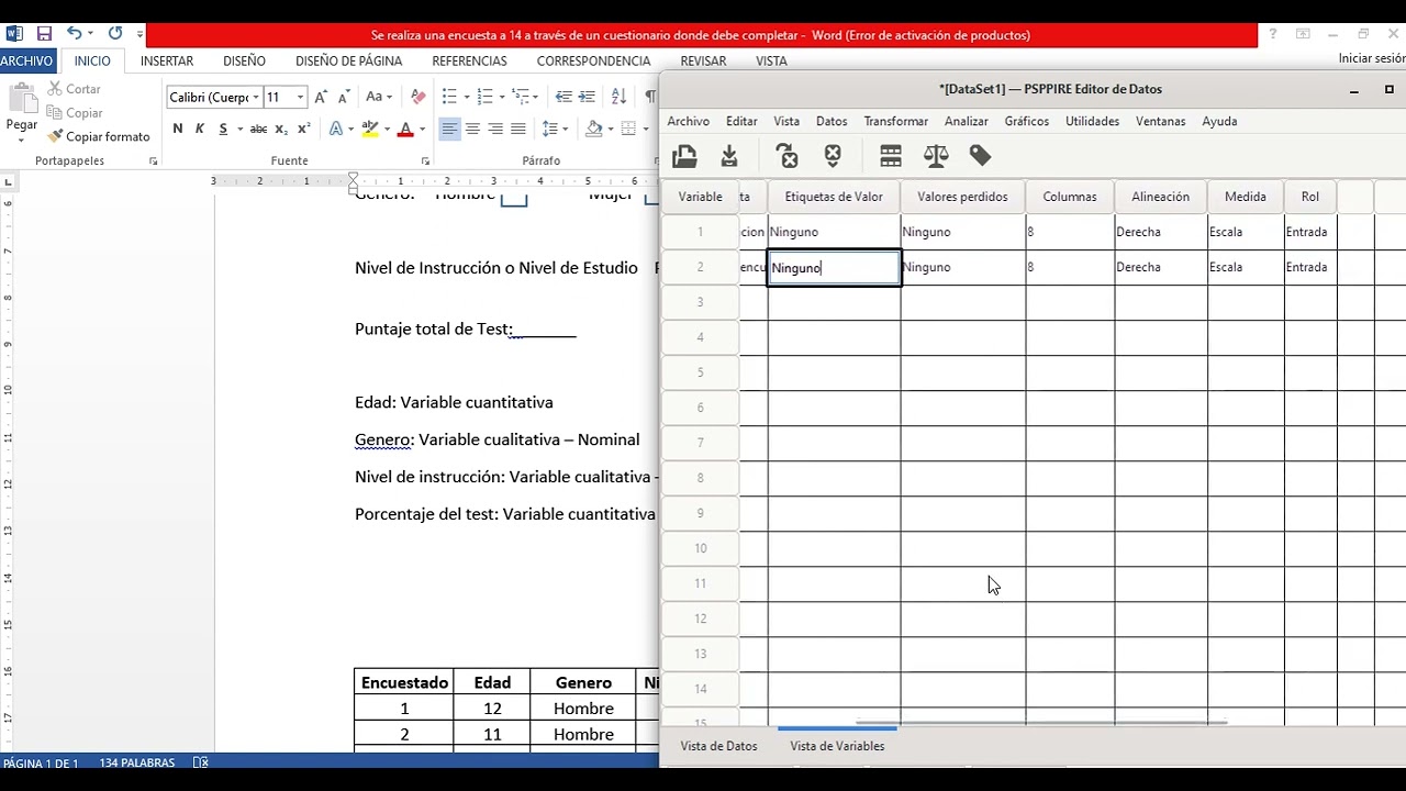 Crear Matriz de Datos   PSPP