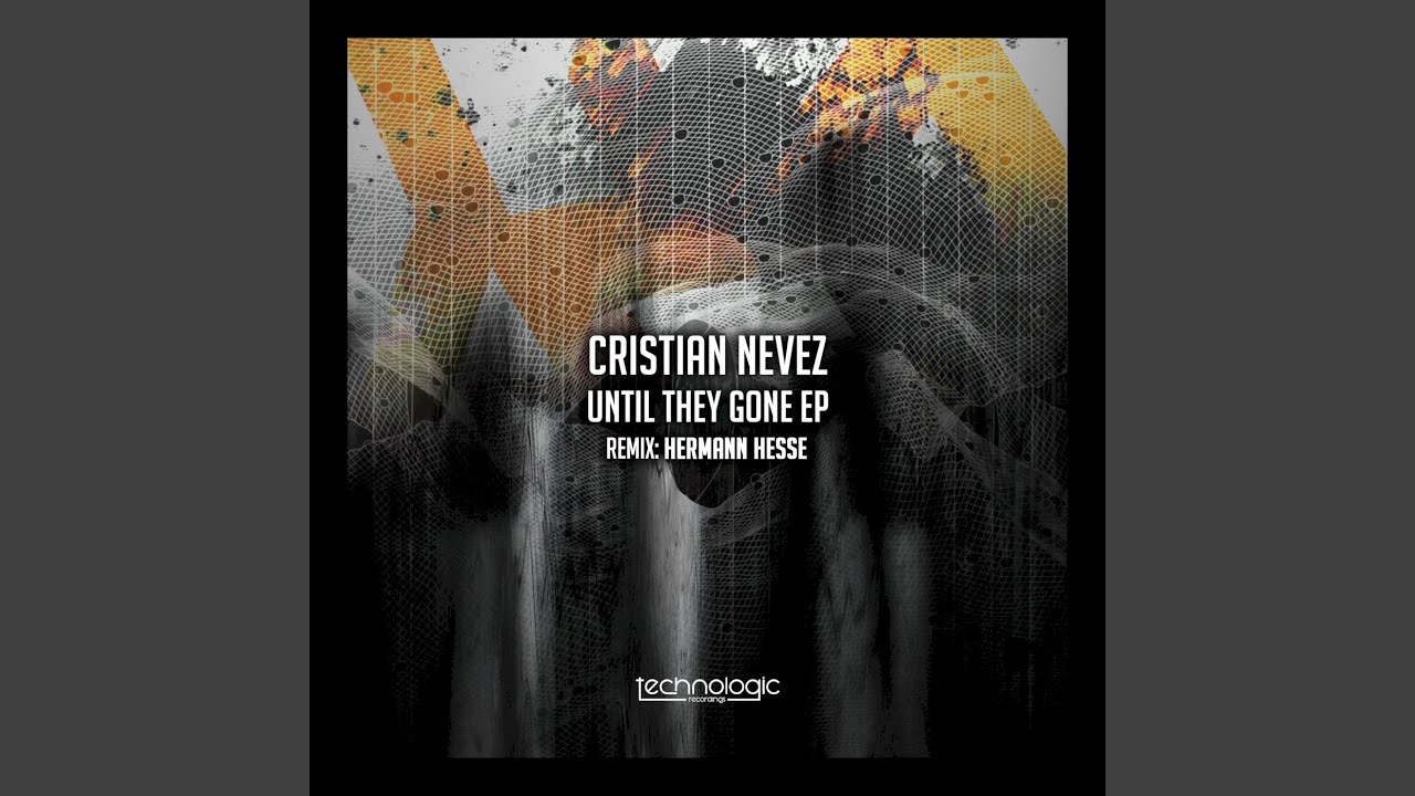 Until They Gone (Hermann Hesse Remix)