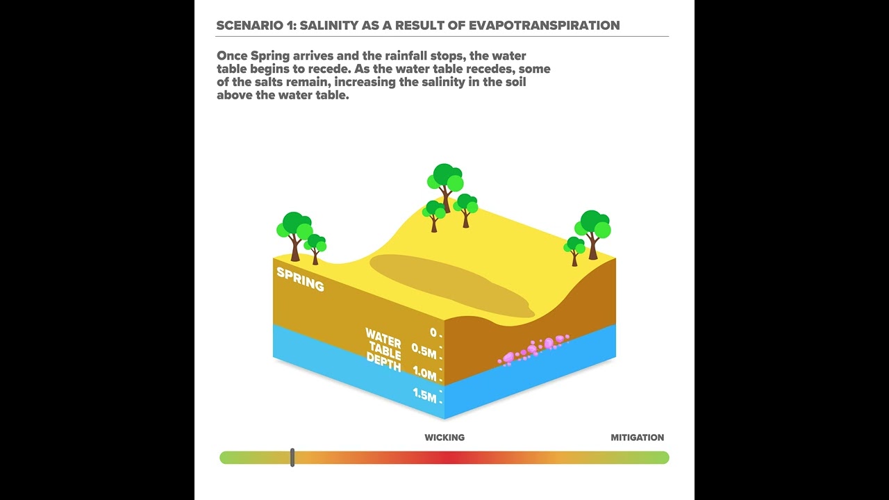 Dryland Salinity in the Coorong Region