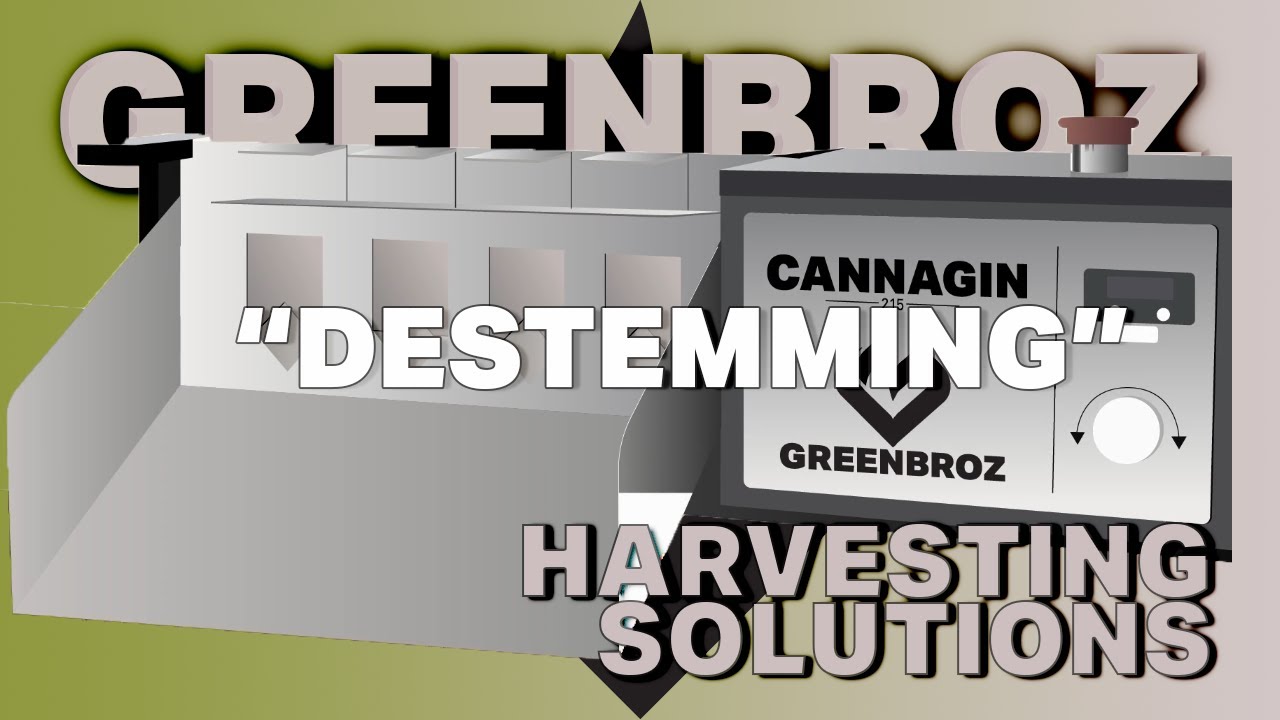 Want To Know The Fasted Way to De-Stem Your Cannabis Flowers?