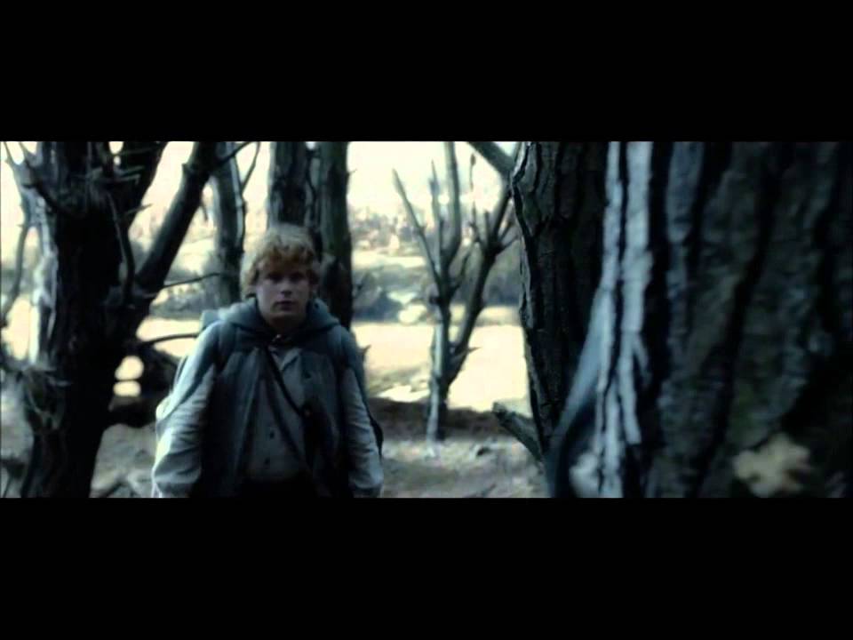 Sam~Frodo Love Story