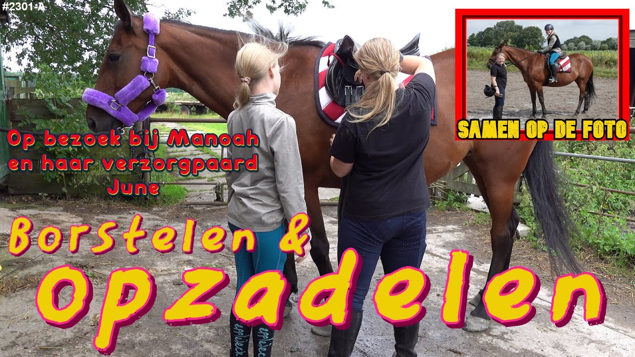 VERZORGPAARD van MANOAH samen verzorgen en RIJDEN in de BUITENBAK #2301A