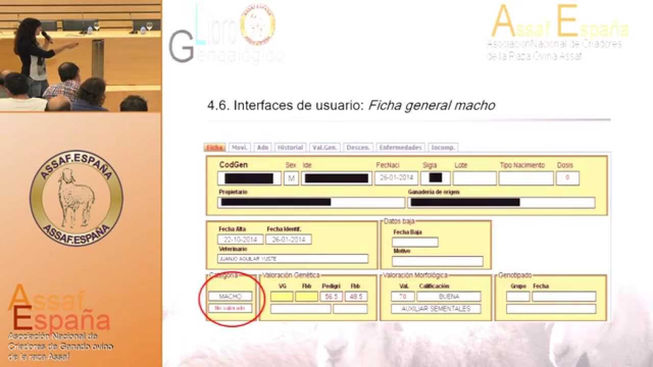 Libro geneal&oacute;gico de la raza Assaf. Nuevas aplicaciones.