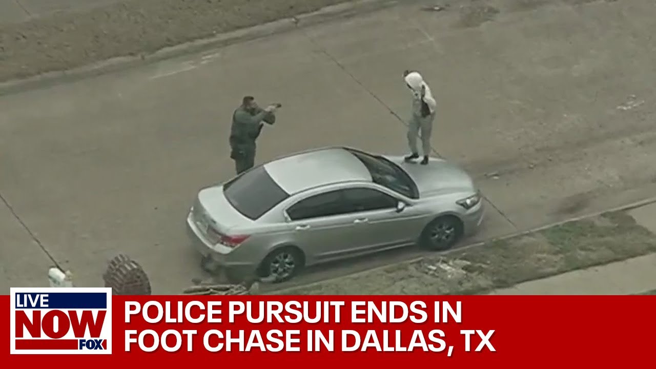 Wild police chase in Dallas with a K9 surprise for the suspect | LiveNOW from FOX