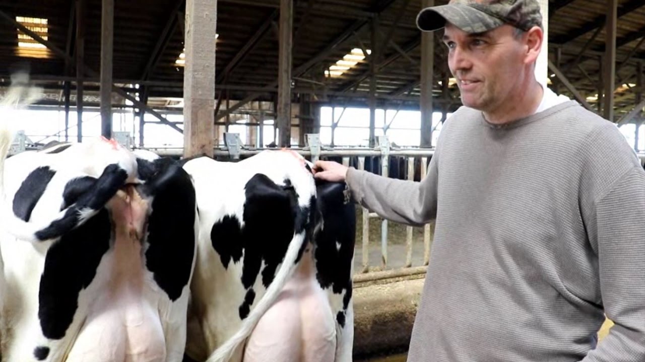 Part 2: Adding Genetic Value with Select Mating Service