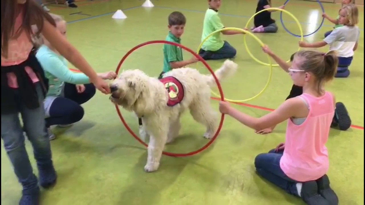 Eddy, Blacky, Liam und Meiko in der Schule