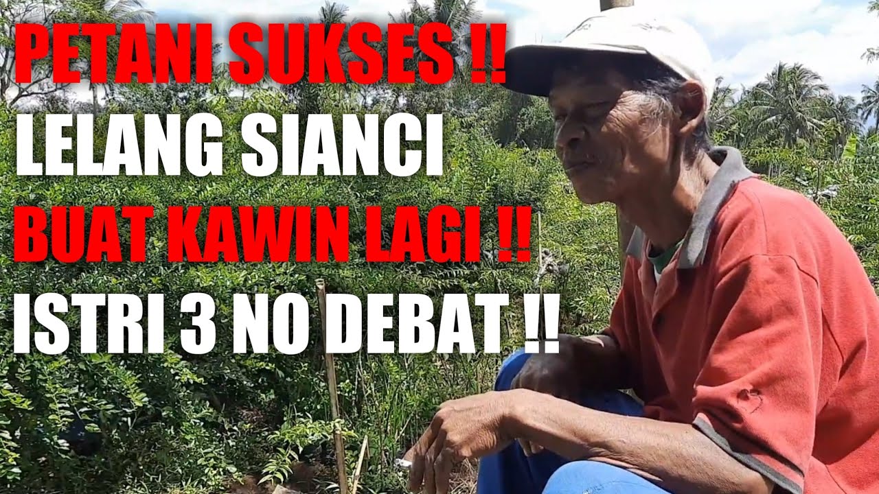 PETANI BONSAI SUKSES (MANG OYO) #bonsai #antingputri #petanibonsai #bonsailover #fyp #belajarbonsai