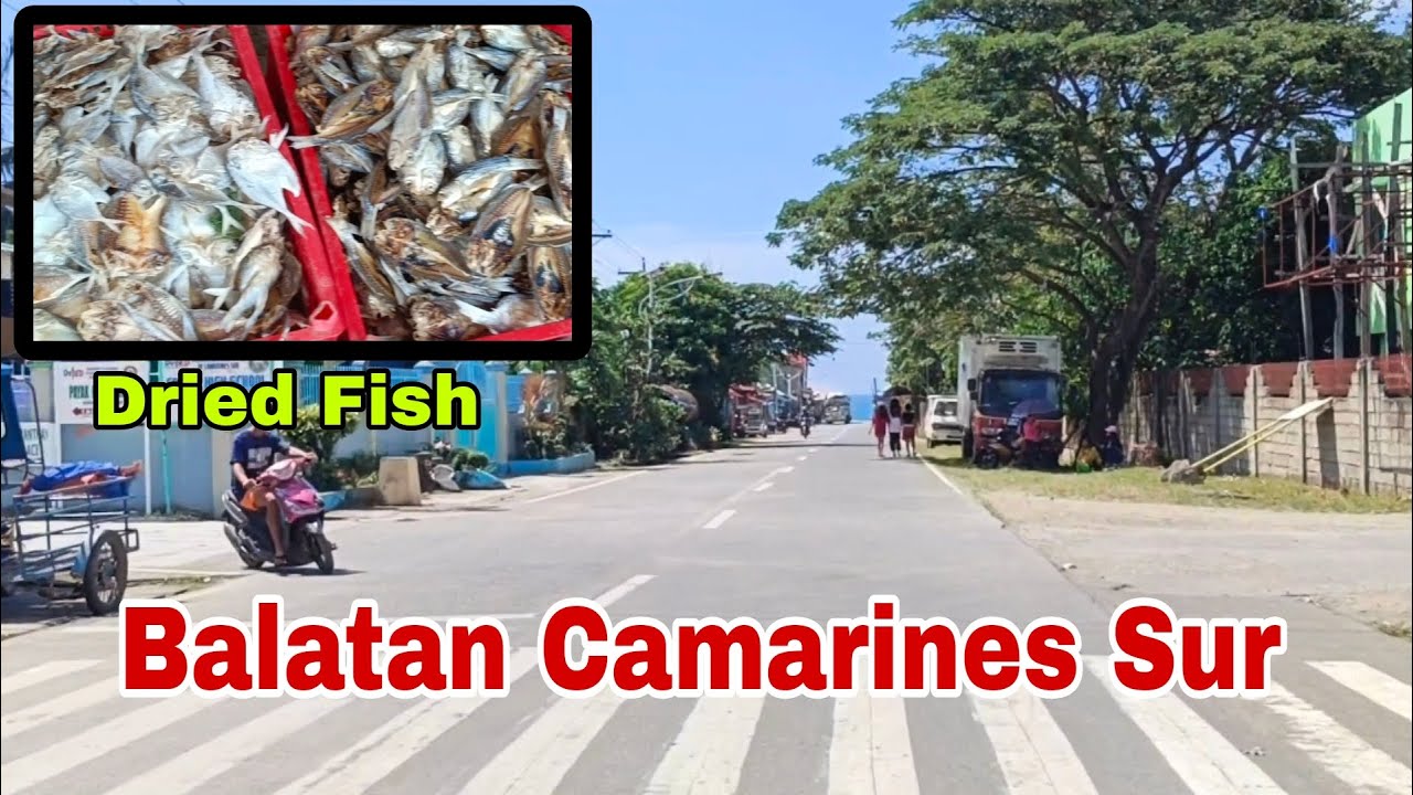 Balatan Camarines Sur / Dried Fish